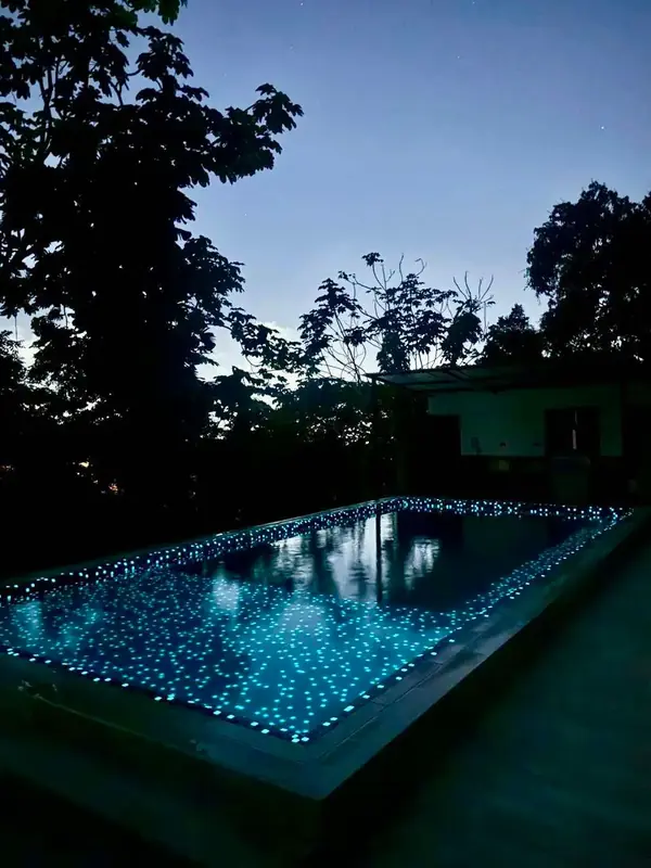 Austin pool installed by Homery in Central Florida