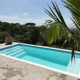 Miami pool installed by Homery in Central Florida